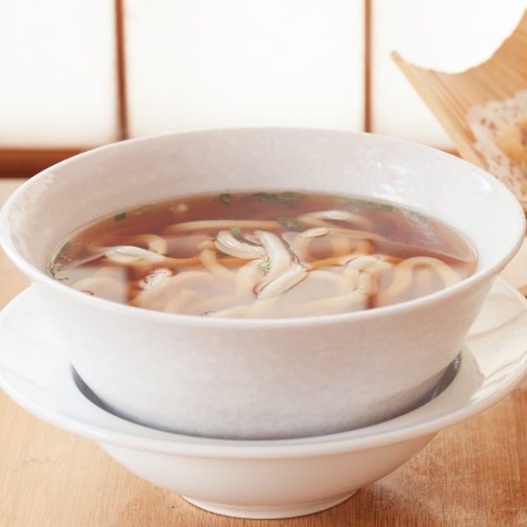 Savor Our Udon Dishes